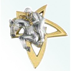 Aplique Estrela Dourada Hipismo